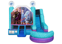 Disney Frozen 2  (Wet)