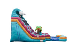 IMG 905120Medium 1765508020 22" Beach Life (Duel Lane)